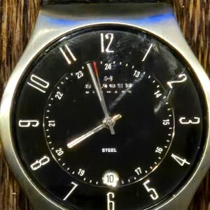 SKAGEN Black Steel Watch